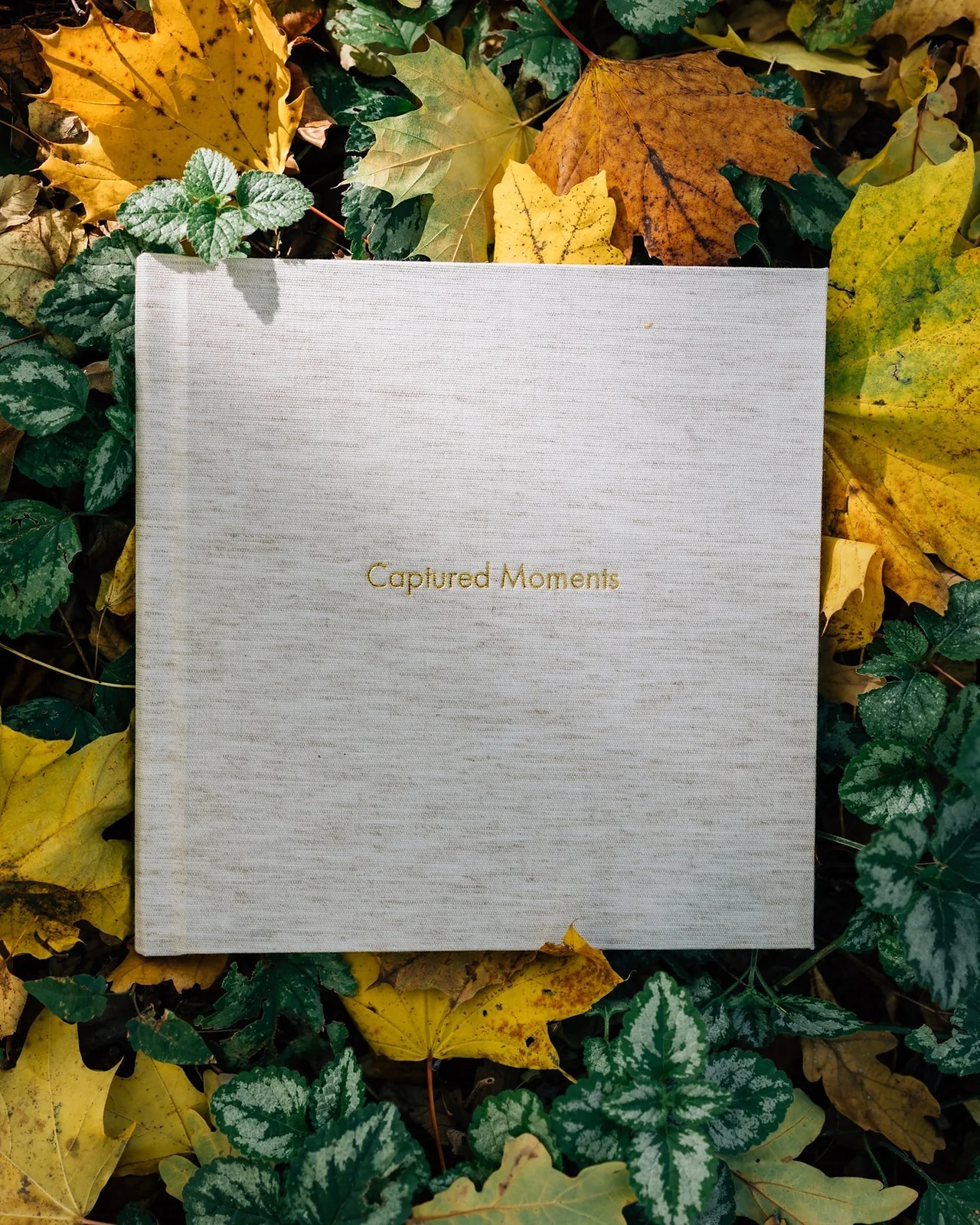Ivory linen with a foiled title — autumn on the ground